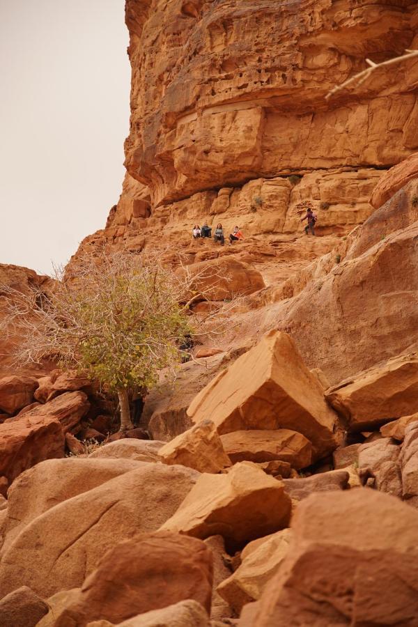 Quite Bedouin Life Hotel Rum vádi Kültér fotó